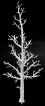 SG-A26a tree.jpg (16665 bytes)