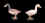 SG-A45 pair of ducks.jpg (4915 bytes)