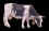 SG-A48 cow.jpg (15520 bytes)