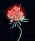 DM-MD10 web red flowers.jpg (30530 bytes)