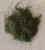 greengrass +.jpg (67739 bytes)