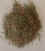 mixgrass.jpg (47965 bytes)