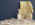 dp9.jpg (40361 bytes)