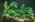 GL060-jungle-series.jpg (39850 bytes)
