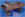 sr32018.jpg (50297 bytes)