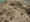 GW30.jpg (36263 bytes)
