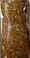 LS13 rust brown.jpg (51280 bytes)
