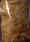 LS17 puffy tan.jpg (42447 bytes)