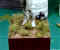 step 20.jpg (36102 bytes)