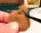 step 8.jpg (30284 bytes)