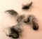 wads of wool.jpg (37272 bytes)