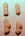 shot web.jpg (35093 bytes)