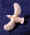 MB01 single.jpg (31915 bytes)
