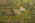 f602a.jpg (40144 bytes)