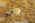 f603a.jpg (41033 bytes)
