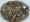 13 complete concept view.jpg (61098 bytes)