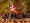 LRT1.jpg (65188 bytes)