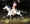 mounted indian.jpg (26665 bytes)