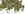 PL252.jpg (56690 bytes)