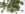 PL253.jpg (58494 bytes)