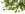 PL254.jpg (54274 bytes)
