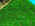 scale0096-close-up.jpg (40464 bytes)