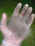 3d.jpg (39498 bytes)