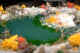 rocky pond.jpg (77220 bytes)
